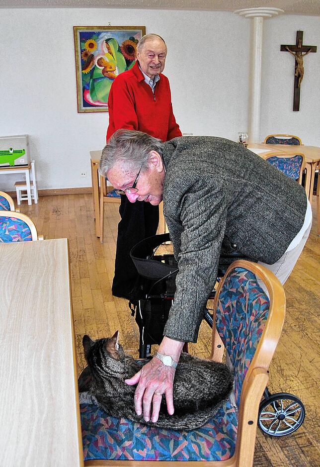 Die zwei Hauskatzen im St. Lioba in Villingen bekommen viele Streicheleinheiten. Für die Bewohner sind die Tiere eine schöne Abwechslung ...