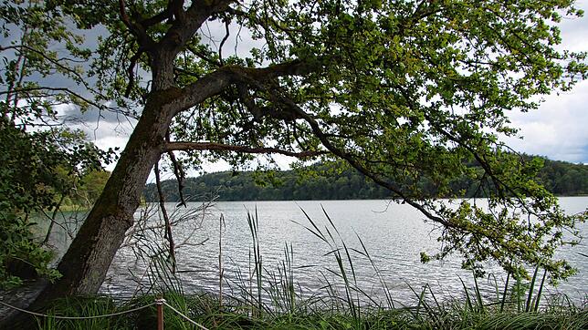 Am Mindelsee ist am Mittwochabend, 6. September, ein Mann vermisst worden (Symbolbild).