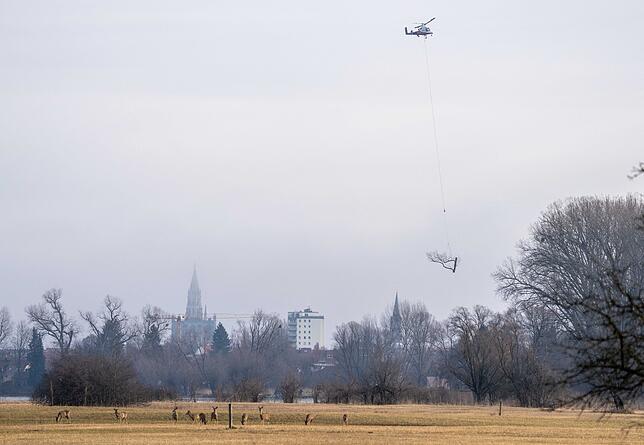 Einsatz am Dienstag bei diesigen Bedingungen im Bereich Seerhein.