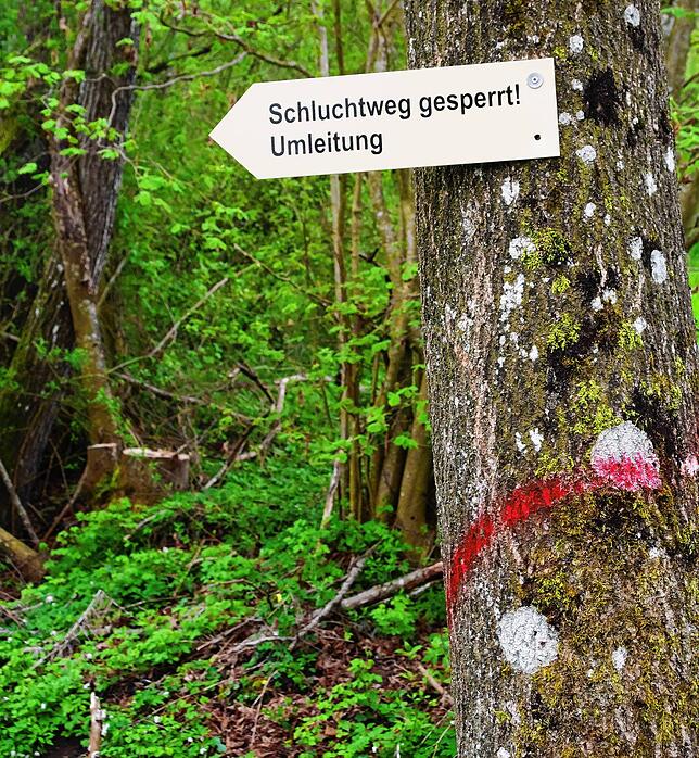 Die Wanderwege in der Klingenbachschlucht sind durch den Starkregen ruiniert worden. Die Schlucht bleibt bis zur Sanierung der Wege ...