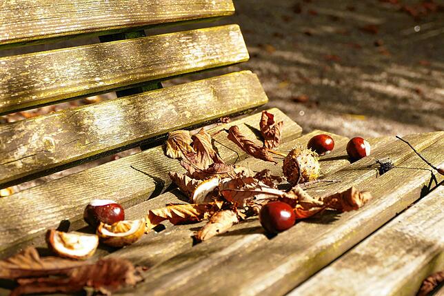 Bild 8: So schön ist der goldene Oktober: Leserreporter zeigen ihre schönsten Herbst-Impressionen