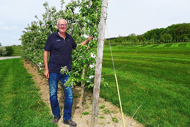 Achim Kotte auf der leergefegten Swingolfanlage in Wendlingen, auf der auch blühende Apfelbäume das Bild prägen.
