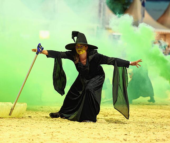 Bild 10: So spektakulär war der Showabend beim Fest der Pferde