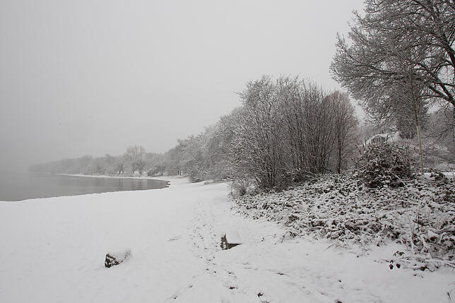 Am Ufer des Sees liegt eine fast geschlossene Schneedecke.