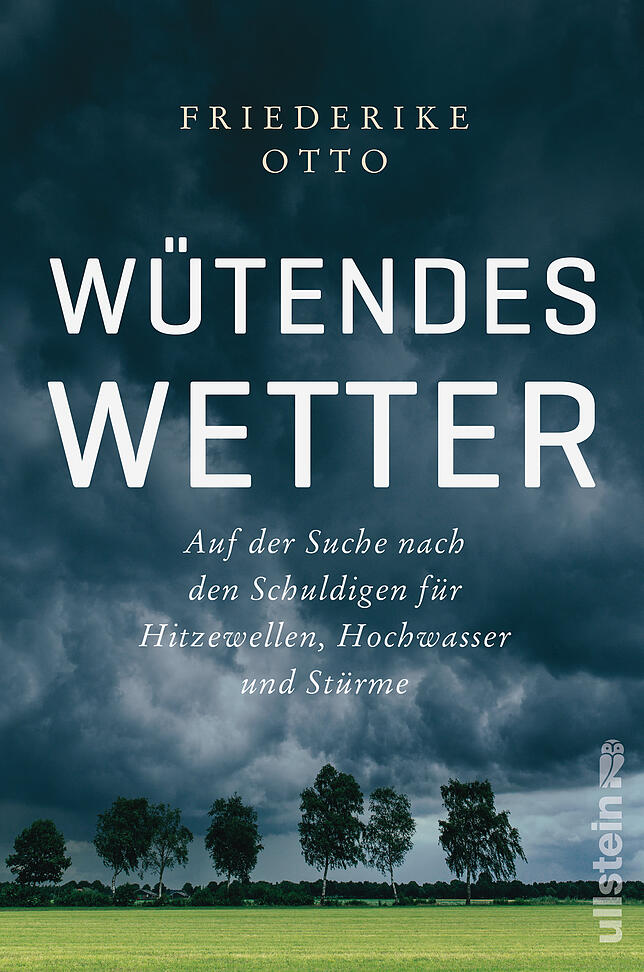 Bild 3: „Die wahre Bedrohung sind Extremwetter“
