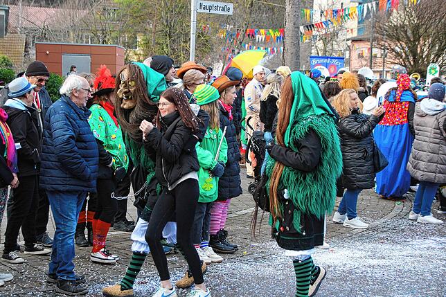 Bild 38: Bilder vom Umzug der Froschzunft Wutöschingen &ndash; Teil 3