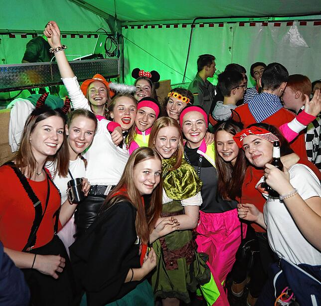 Bild 12: Bilder des Narrentreffens in Donaueschingen Pfohren (2)
