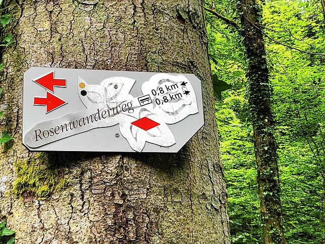 Bild 9: Wandern vor der Haustür (Teil 5): Von Indlekofen zum Haselbach-Wasserfall
