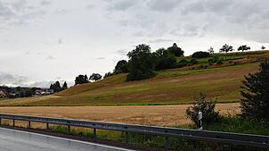 Auf dieser Fläche bei Tüfingen (links) nördlich der L200a in Richtung Stefansfeld soll ein Mobilfunkmast errichtet werden.
