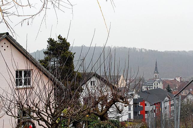 Am Hang gelegen und von Wald umringt, zeigt sich die Siedlung im Tiengener Norden. Bild: Vanessa Amann