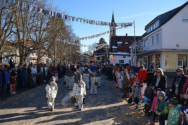 Bild 33: Bilder vom Narrentreffen der Urviecher-Zunft Bad Dürrheim: Großer Festumzug (3)