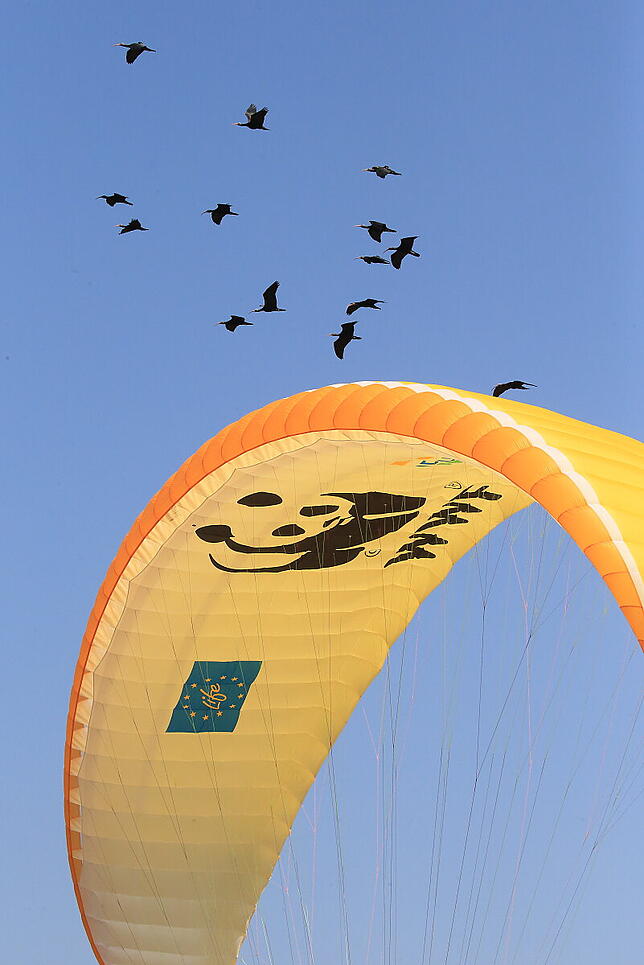 Das Waldrappteam im Anflug auf das Winterquartier in der Laguna di Orbetello in der Toskana.