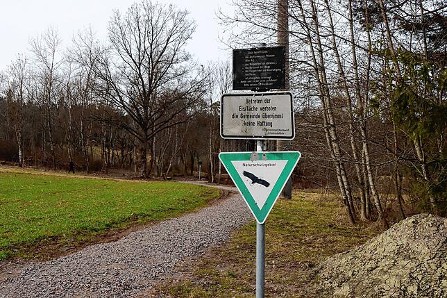 Im Naturschutzgebiet Gifizenmoos bei Mönchweiler laufen umfangreiche Arbeiten zur Landschaftspflege. Unter anderem soll auch der ...