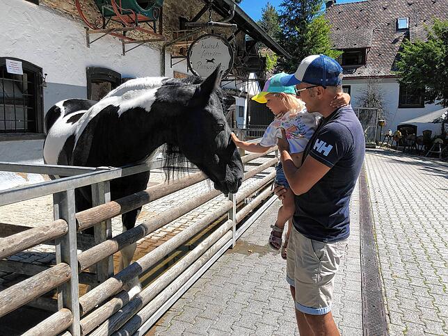 So nah kommt man dann doch selten an ein so großes Tier ran. Wer möchte, kann in der Lochmühle auch eine Kutschfahrt mit Pferden buchen.