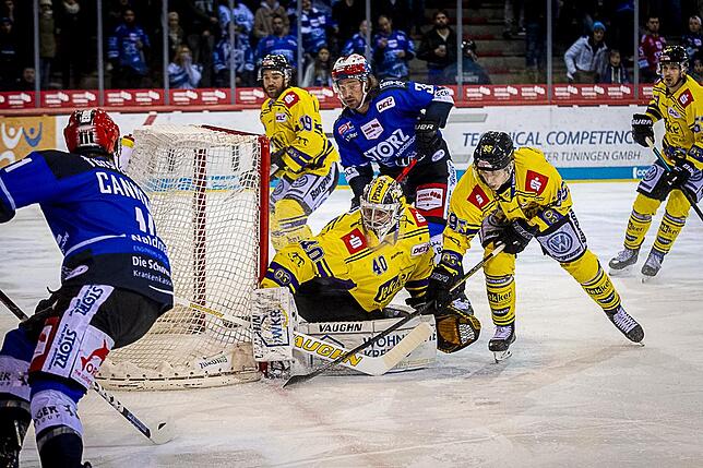 Bild 36: Bilder: Wild Wings vs. Krefeld Pinguine