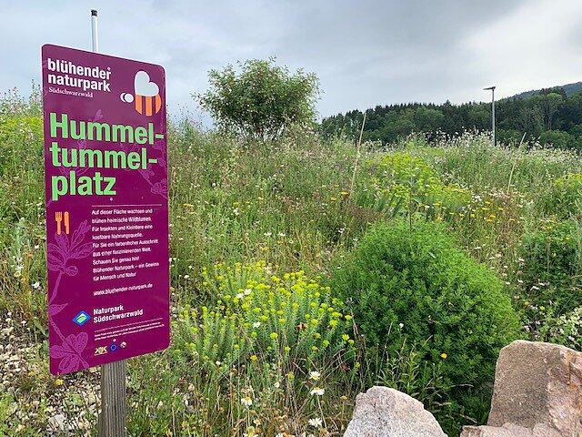 Bild 1: Wehrer Natur-Erlebnis-Anlage der Novartis im UN-Wettbewerb