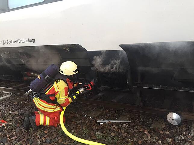 Zwischenfälle wie der Brand eines Interregio-Triebwagens im Bad Säckinger Bahnhof, sollen künftig vermieden werden.