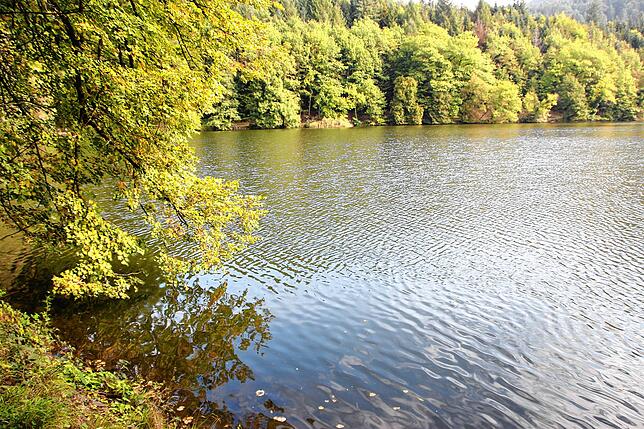 Der Bergsee in Bad Säckingen bietet viele Möglichkeiten für Touren.