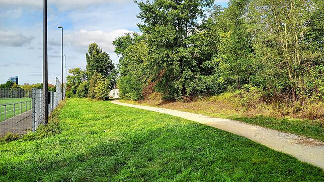 Hier soll der neue Kunstrasenplatz gebaut werden. Auch dieses Areal liegt im Hochwasserschutzgebiet.
