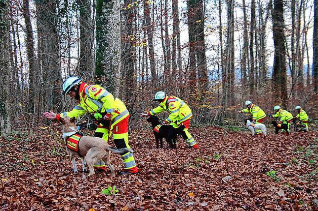 So sieht es aus, wenn die Rettungshundestaffel sich im Ernstfall für die Suche bereit macht: Die Hundeführer und ihre Hunde stellen sich ...