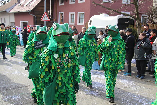 Bild 8: Bilder zum Narrentreffen in Schwerzen (1)