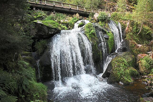 Die Triberger Wasserfälle sind ein beliebtes Ziel. Gerade an sommerlich heißen Tagen verschaffen sie mit der Gutach und dem Schatten der ...