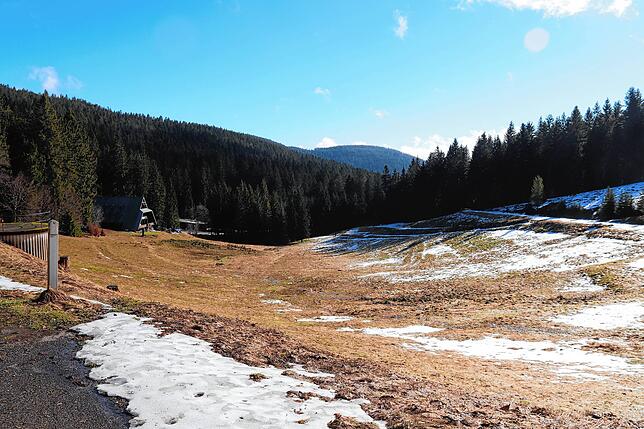Das Gelände rund um das Hundseck: Hier war früher eine Skipiste.