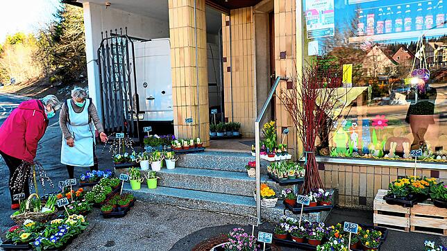 Beim Obst- und Gemüsehändler Dilger in Schönwald ging es auch während des harten Lockdowns weiter, doch nun stehen die Frühlingsboten ...