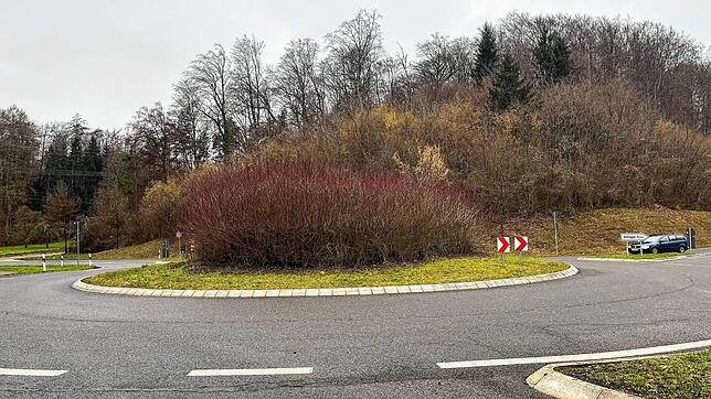 Hier im Wald beim Kreisverkehr der L220/L221 lagen 26 gefüllte Müllsäcke.