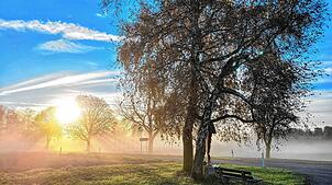 Sonnenstrahlen in Heiligenberg. Das ist bedingt möglich, an Allerheiligen sogar schon ab dem späten Vormittag.
