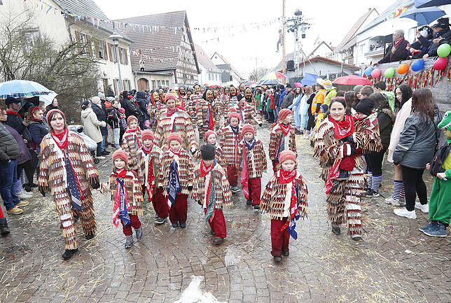 Bild 16: Bilder zum großen Narrentreffen in Pfohren (2)
