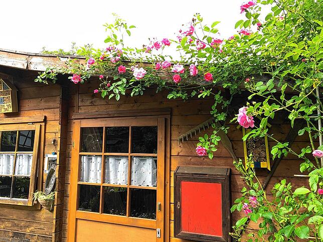 Bild 27: #SKverbindet: Das sind die schönsten Gartenprojekte unserer Leser