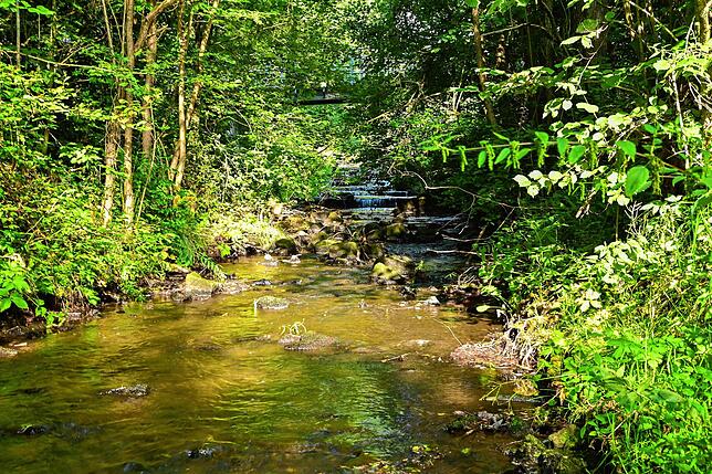 Auch das Leben am und im Bach wird auf dem Biodiversitätspfad dargestellt.