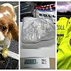 Die Zöllner machten auch 2024 wieder spektakuläre Funde: Vom Hundewelpen bis zu Kokain unter dem Autositz.