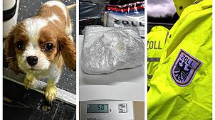 Die Zöllner machten auch 2024 wieder spektakuläre Funde: Vom Hundewelpen bis zu Kokain unter dem Autositz.