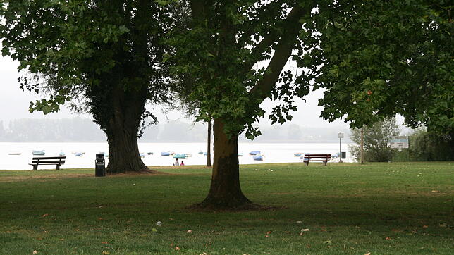 Die Liegewiese zwischen Yachtclub und Bootshaus war diesen Sommer ein begehrter Treffpunkt, nicht nur bei Jugendlichen. Immer wieder gab ...