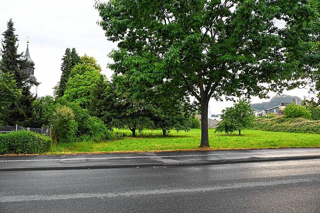 Auf dieser Wiese bei der Theresienkapelle in der Singener Fittingstraße könnte eine große Freiflächen-Solaranlage für das Unternehmen ...
