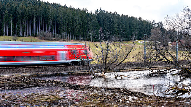 Bild : Mehr als eine Woche nach &bdquo;Sabine&ldquo;: Schwarzwaldbahn ab Mittwoch auch zwischen Triberg und Villingen wieder frei &ndash; voraussichtlich