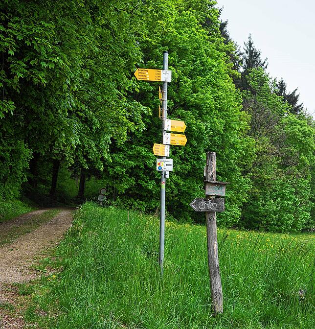 Viele Optionen: Die Wegweisschilder zeigen die Richtungen an. Daneben der Holzpfahl mit dem Hinweis auf den Fahrradweg.