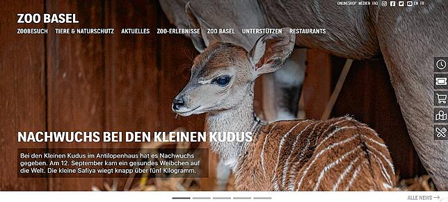 Bild 18: Digitale Zeitreise: So haben sich Webseiten aus der Region in drei Jahrzehnten verändert