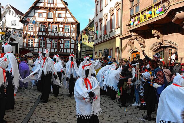 Bild 6: Bunter Einzug zum Narrenbaumstellen in Meßkirch