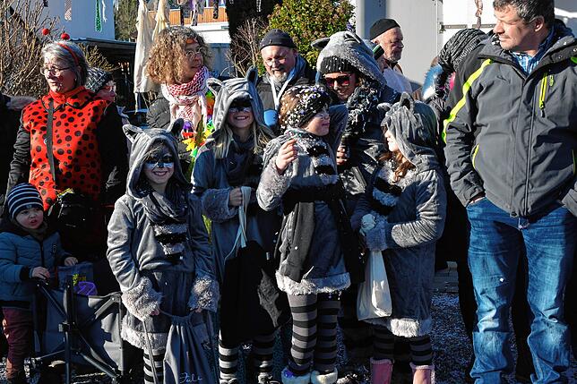 Bild 16: Narrentreffen Albbruck: So viel Spaß macht der große Umzug