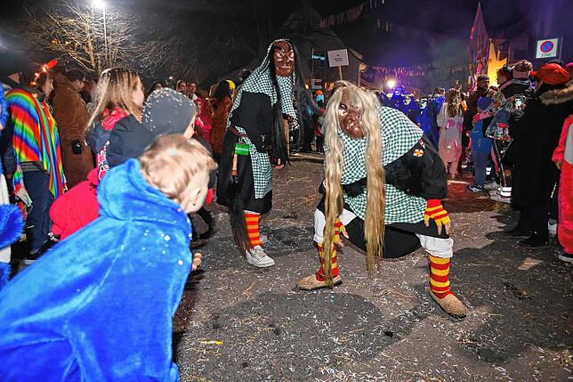Bild 17: Nachtumzug Möggingen 2025: Fasnacht in Bildern – 30 Gruppen in voller Pracht