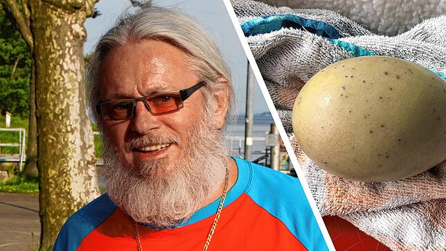 Der Konstanzer Udo Lutter konnte ein Ei aus dem See fischen. Noch hat er die Hoffnung, dass daraus ein Schwan schlüpfen könnte.