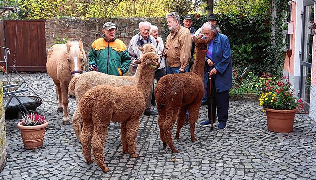 Sind alle da? Startklar für den morgendlichen Spaziergang.