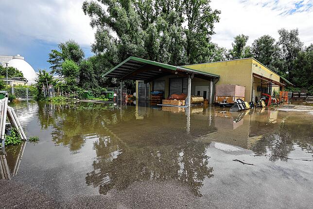 Bild 13: Abwasserkanäle kommen nicht mehr hinterher: Bilder vom heftigen Unwetter in Radolfzell