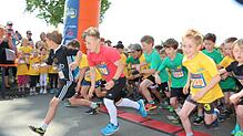 Mit viel Ehrgeiz gingen die Schülerinnen und Schüler beim Kids Run, einer der Läufe des 13. Uhldinger Pfahlbau-Marathons, auf die ...