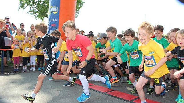 Mit viel Ehrgeiz gingen die Schülerinnen und Schüler beim Kids Run, einer der Läufe des 13. Uhldinger Pfahlbau-Marathons, auf die ...