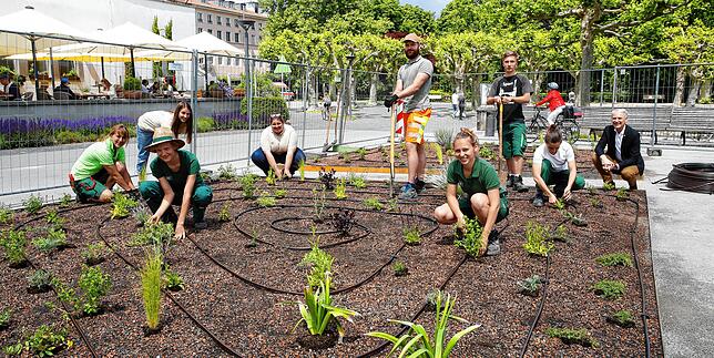 Auszubildende der Insel Mainau GmbH und der Technischen Betriebe Konstanz (TBK) machten im Flühling 2020 gemeinsame Sache und ...