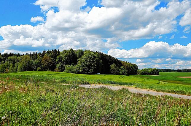 Blick auf das Areal (links im Bereich des Waldes) im Gebiet Vogelsang, das nach ursprünglichen Plänen als Kiesabbaugebiet vorgesehen ...